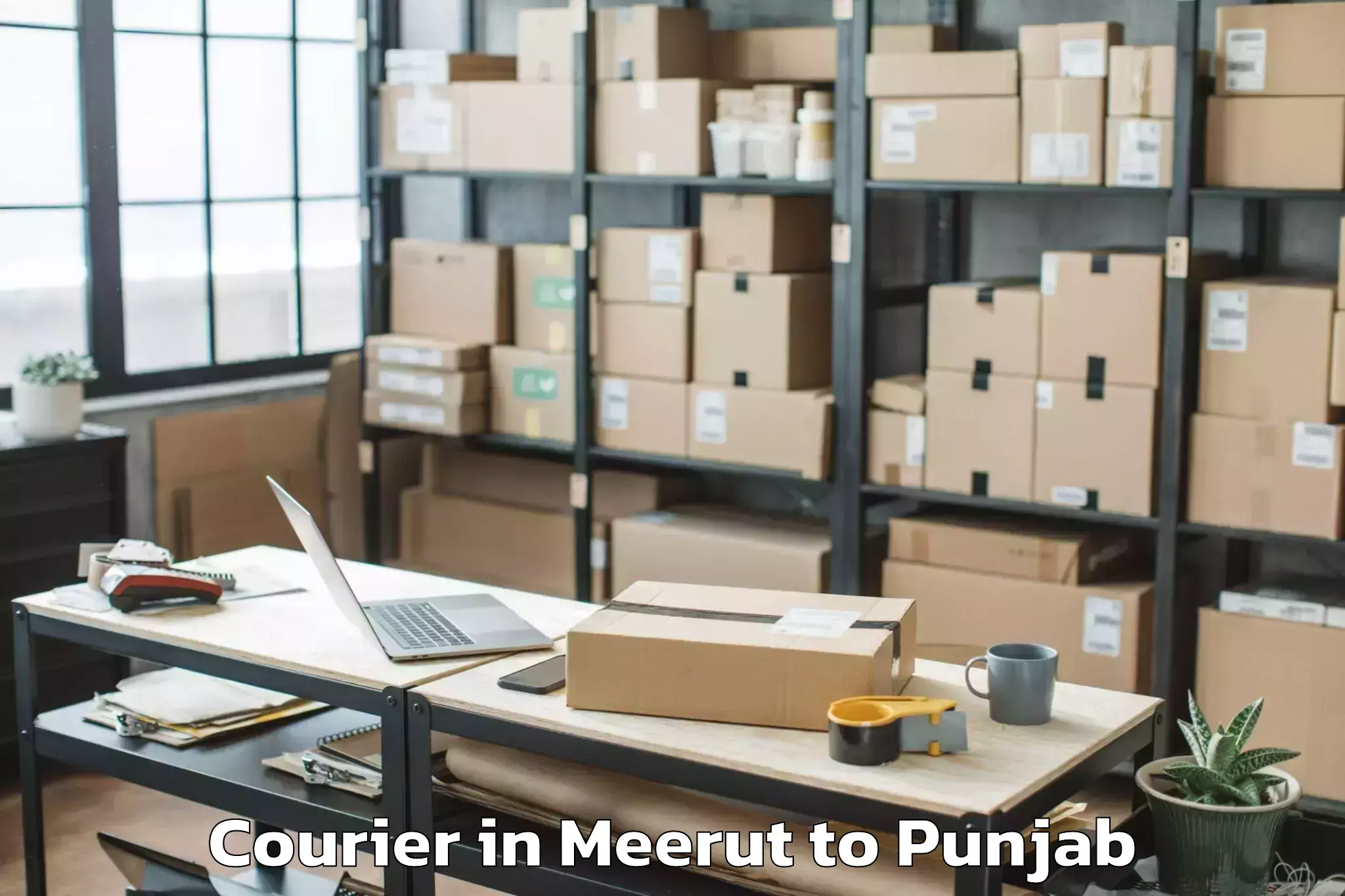 Reliable Meerut to Barnala Courier